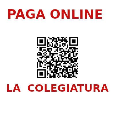 Sistema de Pago con QR